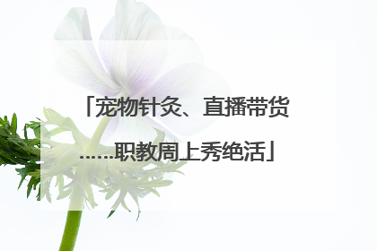 宠物针灸、直播带货……职教周上秀绝活