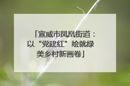 宣威市凤凰街道：以“党建红”绘就绿美乡村新画卷