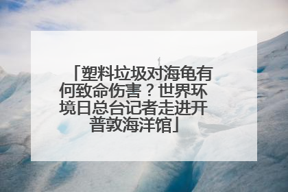 塑料垃圾对海龟有何致命伤害？世界环境日总台记者走进开普敦海洋馆