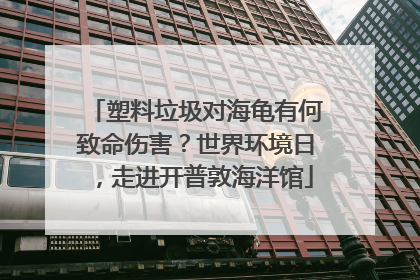 塑料垃圾对海龟有何致命伤害？世界环境日，走进开普敦海洋馆