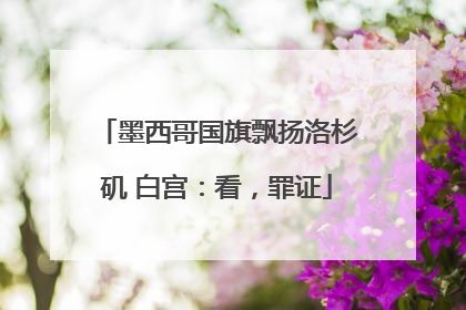 墨西哥国旗飘扬洛杉矶 白宫：看，罪证