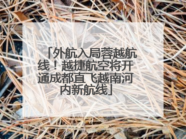 外航入局蓉越航线！越捷航空将开通成都直飞越南河内新航线