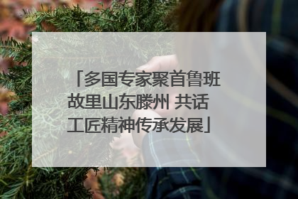 多国专家聚首鲁班故里山东滕州 共话工匠精神传承发展