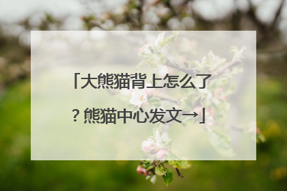 大熊猫背上怎么了？熊猫中心发文→