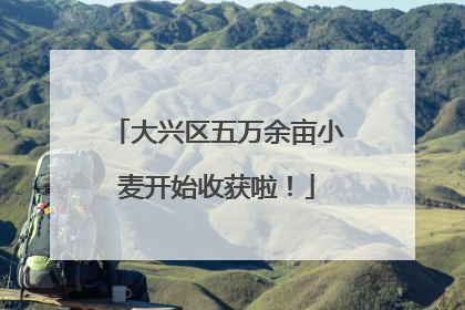 大兴区五万余亩小麦开始收获啦！