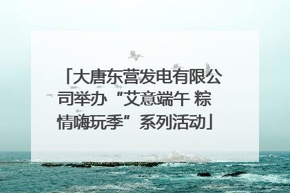 大唐东营发电有限公司举办“艾意端午 粽情嗨玩季”系列活动