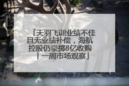天羽飞训业绩不佳且无业绩补偿，海航控股仍豪掷8亿收购丨一周市场观察