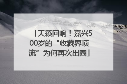 天籁回响！嘉兴500岁的“收藏界顶流”为何再次出圈