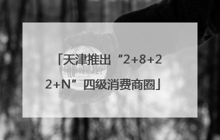 天津推出“2+8+22+N”四级消费商圈