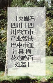 央媒看四川丨四川内江市产业帮扶巴中市通江县 梅花鸡鸣百姓富