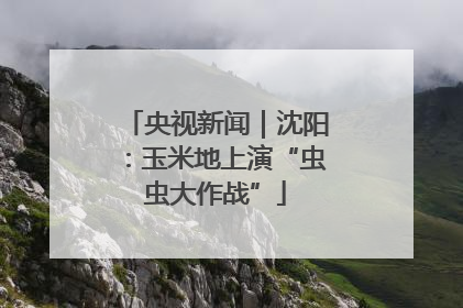 央视新闻｜沈阳：玉米地上演“虫虫大作战”
