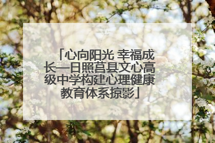 心向阳光 幸福成长—日照莒县文心高级中学构建心理健康教育体系掠影
