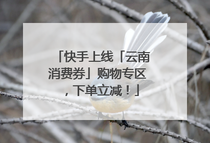 快手上线「云南消费券」购物专区，下单立减！