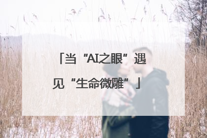 当“AI之眼”遇见“生命微雕”