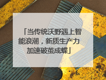 当传统沃野遇上智能浪潮，新质生产力加速破茧成蝶