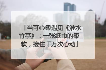 当可心柔遇见《淮水竹亭》：一张纸巾的柔软，接住千万次心动