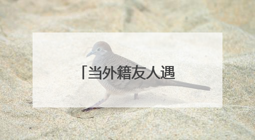 当外籍友人遇见青城：开启一场穿越文物与奶香的文明对话