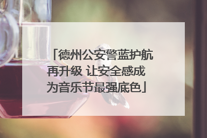德州公安警蓝护航再升级 让安全感成为音乐节最强底色