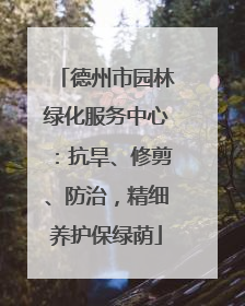 德州市园林绿化服务中心：抗旱、修剪、防治，精细养护保绿荫