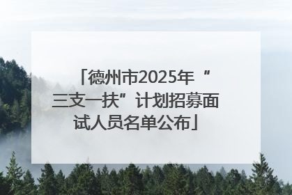 德州市2025年“三支一扶”计划招募面试人员名单公布