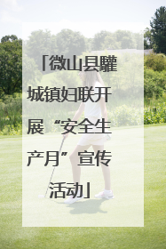 微山县驩城镇妇联开展“安全生产月”宣传活动