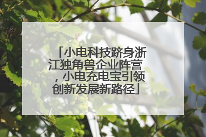 小电科技跻身浙江独角兽企业阵营，小电充电宝引领创新发展新路径