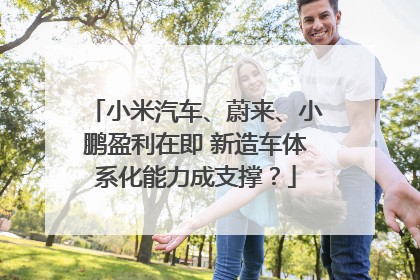 小米汽车、蔚来、小鹏盈利在即 新造车体系化能力成支撑？