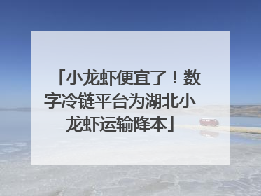 小龙虾便宜了！数字冷链平台为湖北小龙虾运输降本
