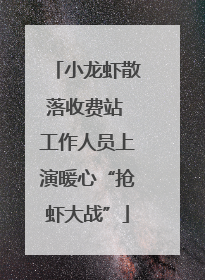 小龙虾散落收费站 工作人员上演暖心“抢虾大战”