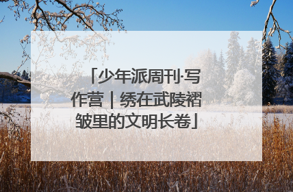 少年派周刊·写作营｜绣在武陵褶皱里的文明长卷