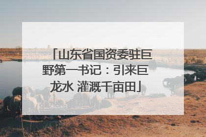 山东省国资委驻巨野第一书记：引来巨龙水 灌溉千亩田