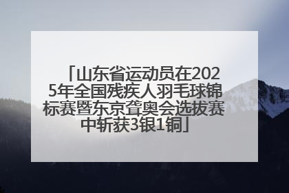 山东省运动员在2025年全国残疾人羽毛球锦标赛暨东京聋奥会选拔赛中斩获3银1铜