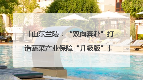 山东兰陵：“双向奔赴”打造蔬菜产业保障“升级版”