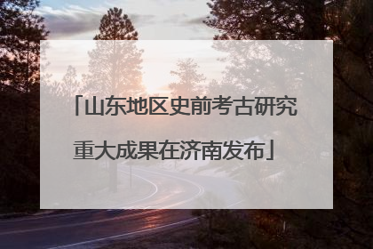 山东地区史前考古研究重大成果在济南发布