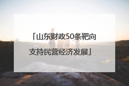 山东财政50条靶向支持民营经济发展