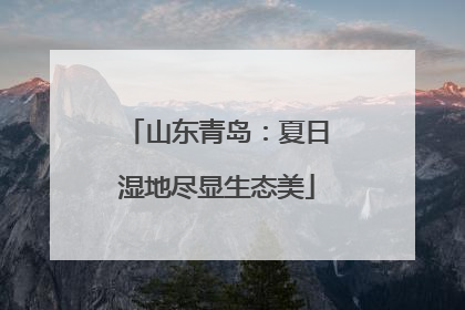山东青岛：夏日湿地尽显生态美