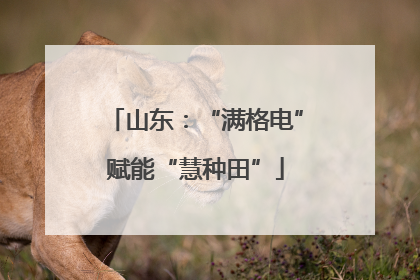 山东：“满格电”赋能“慧种田”