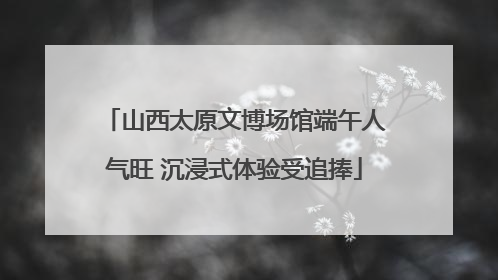 山西太原文博场馆端午人气旺 沉浸式体验受追捧