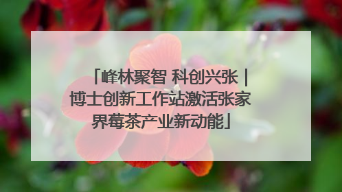 峰林聚智 科创兴张｜博士创新工作站激活张家界莓茶产业新动能