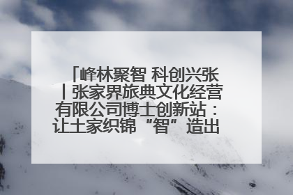 峰林聚智 科创兴张丨张家界旅典文化经营有限公司博士创新站：让土家织锦“智”造出非遗新传奇
