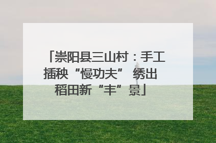崇阳县三山村：手工插秧“慢功夫” 绣出稻田新“丰”景