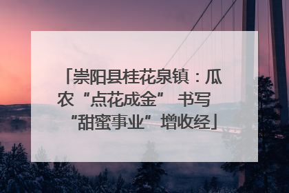 崇阳县桂花泉镇：瓜农“点花成金” 书写“甜蜜事业”增收经