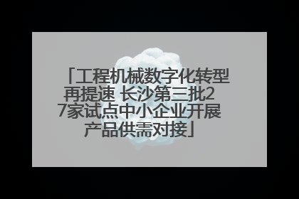 工程机械数字化转型再提速 长沙第三批27家试点中小企业开展产品供需对接