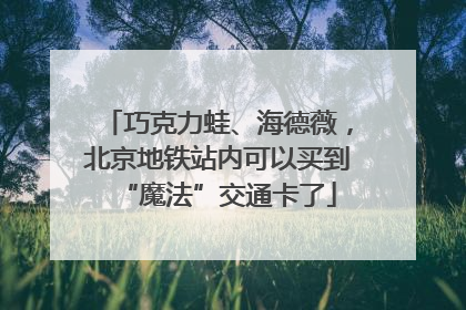 巧克力蛙、海德薇，北京地铁站内可以买到“魔法”交通卡了