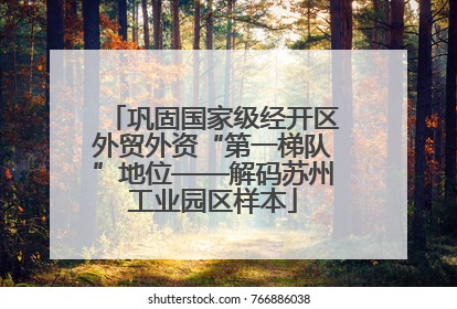 巩固国家级经开区外贸外资“第一梯队”地位——解码苏州工业园区样本