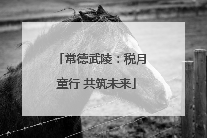 常德武陵：税月童行 共筑未来