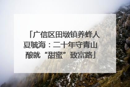 广信区田墩镇养蜂人夏毓海：二十年守青山酿就“甜蜜”致富路
