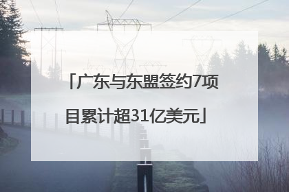 广东与东盟签约7项目累计超31亿美元