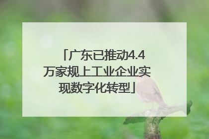 广东已推动4.4万家规上工业企业实现数字化转型