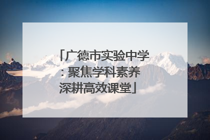 广德市实验中学：聚焦学科素养 深耕高效课堂